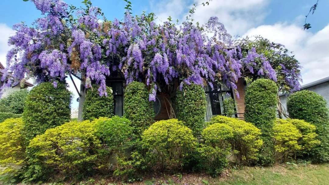 Casa Foresta Nan Exteriér fotografie
